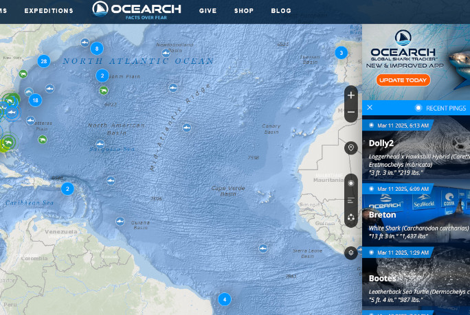 ocearch