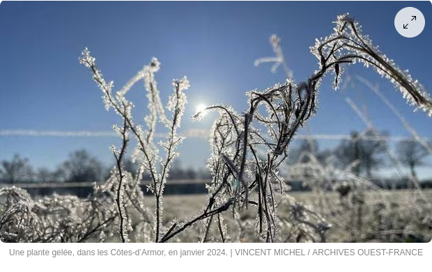 Image de l'article 2