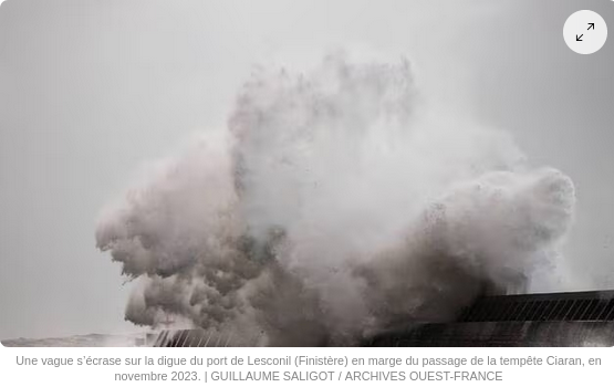Image de l'article 6