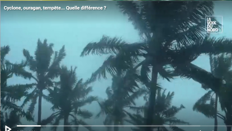 Image de l'article 2